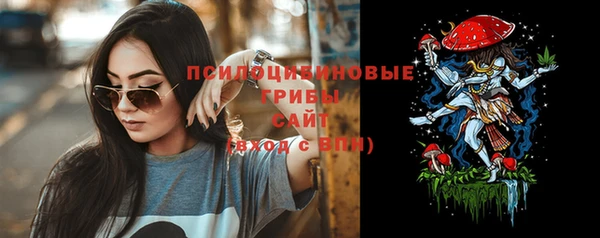 ПСИЛОЦИБИНОВЫЕ ГРИБЫ Пересвет