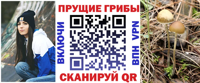 Псилоцибиновые грибы Cubensis  MEGA вход  Красный Холм  купить наркотик 